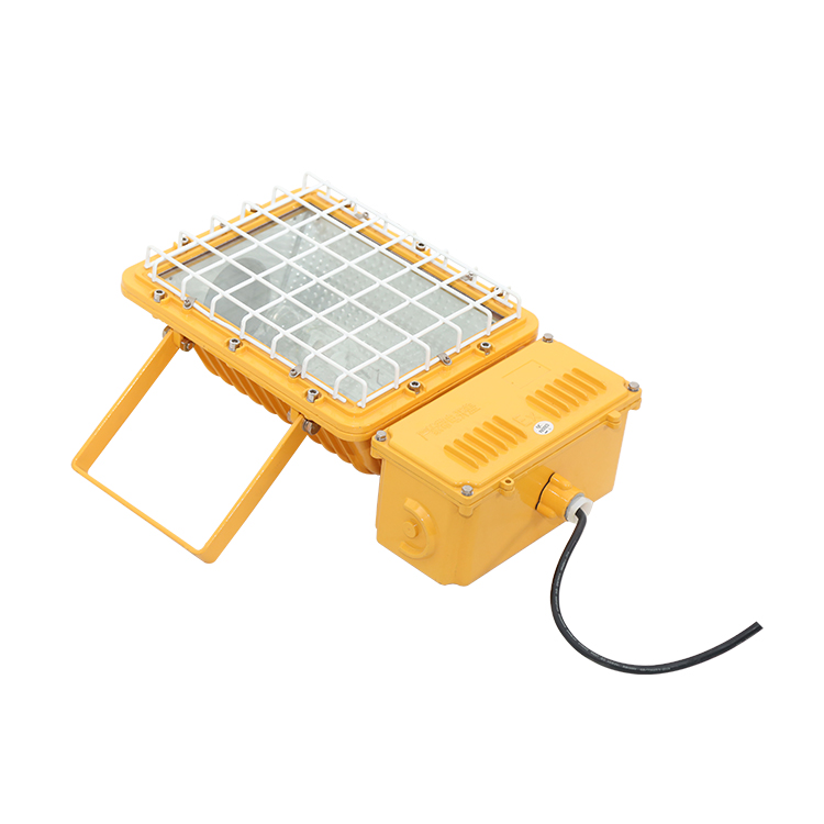 LY8110A防爆泛光灯