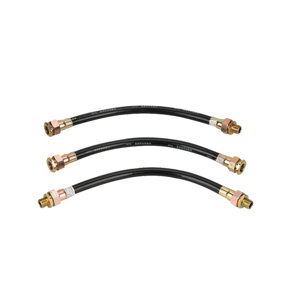 BNG系列防爆挠性连接管